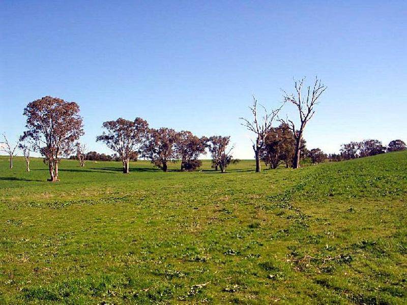 3944 MURRINGO ROAD, Young NSW 2594
