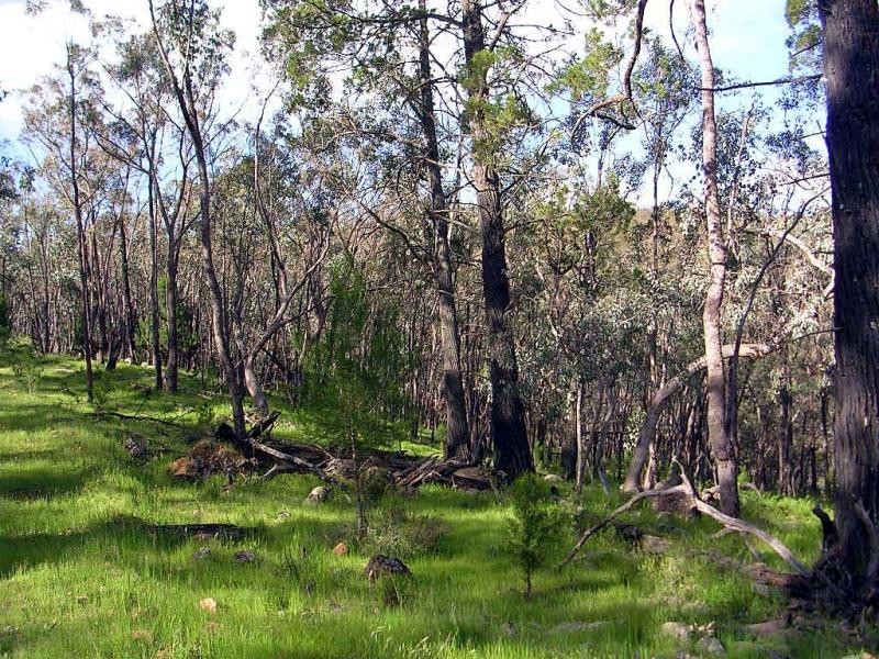 Boorowa NSW 2586