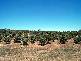 WOMBAT CREEK ROAD, Young NSW 2594
