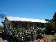 WOMBAT CREEK ROAD, Young NSW 2594
