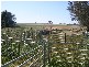 Greenethorpe NSW 2809