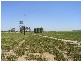 Greenethorpe NSW 2809
