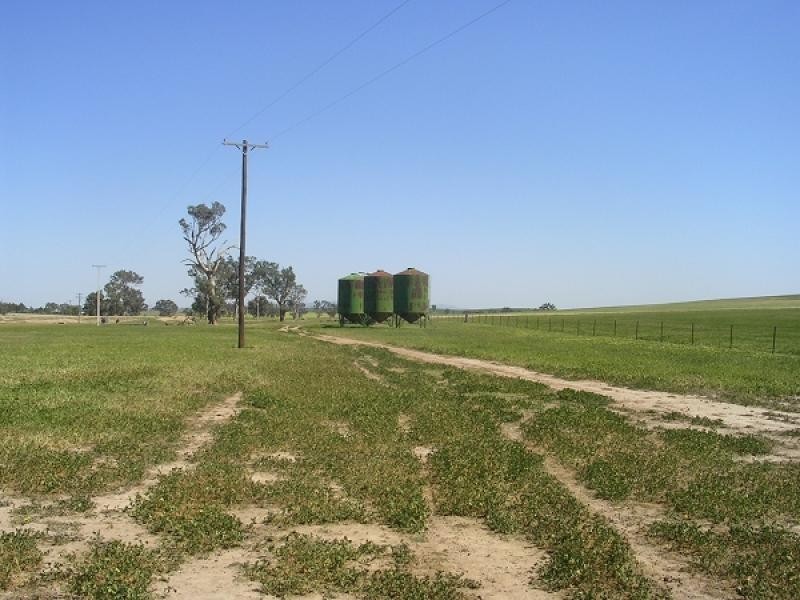 Greenethorpe NSW 2809