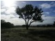 Bendick Murrell NSW 2803