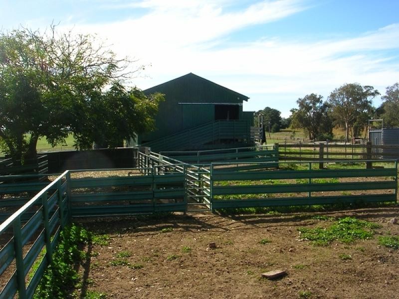 Bendick Murrell NSW 2803