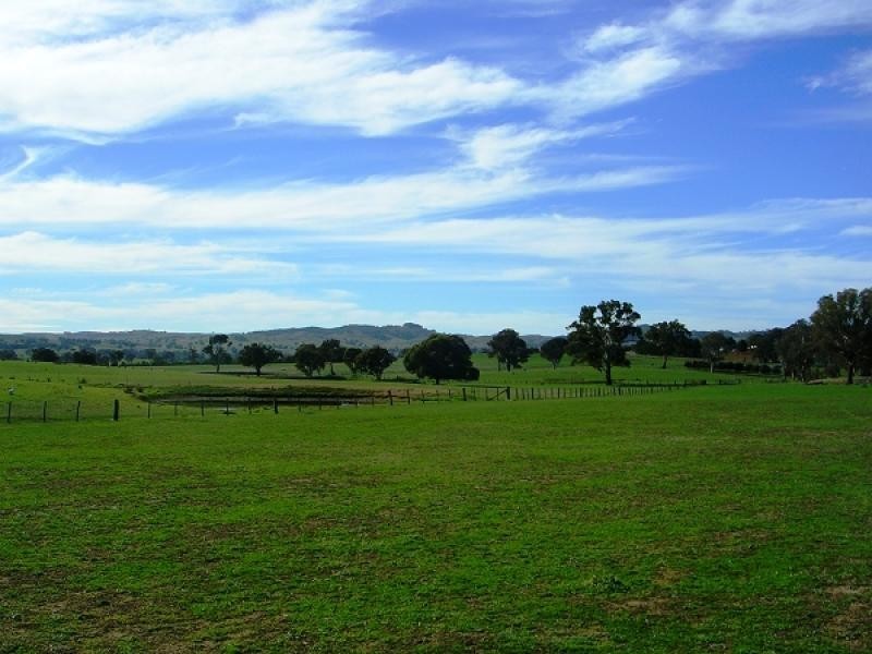 Bendick Murrell NSW 2803
