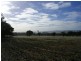 Bendick Murrell NSW 2803
