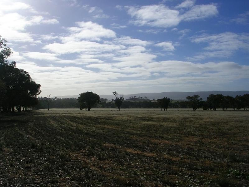 Bendick Murrell NSW 2803