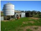 Bendick Murrell NSW 2803