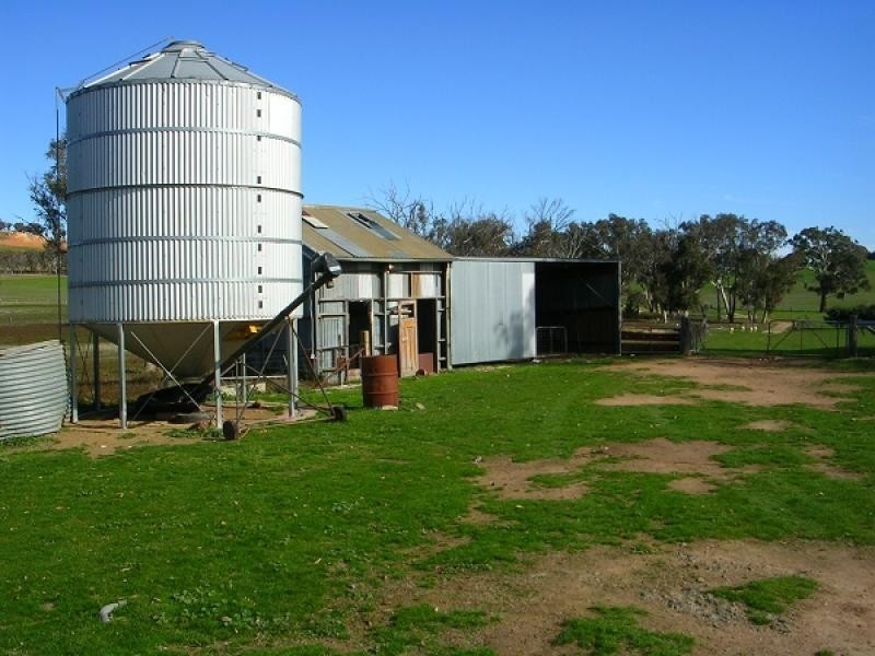 Bendick Murrell NSW 2803