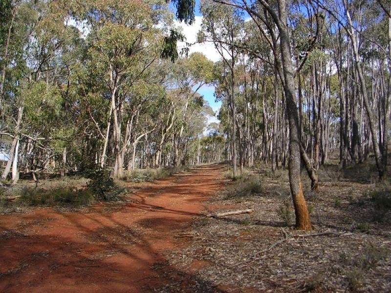 Taylors Flat NSW 2586