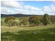 Taylors Flat NSW 2586