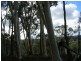 Taylors Flat NSW 2586
