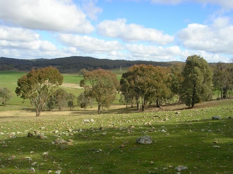 Taylors Flat NSW 2586