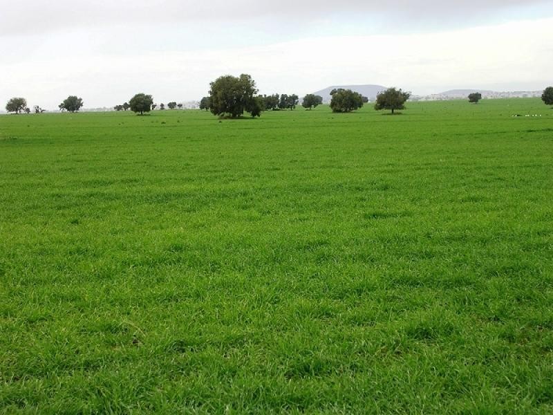 Boggabri NSW 2382