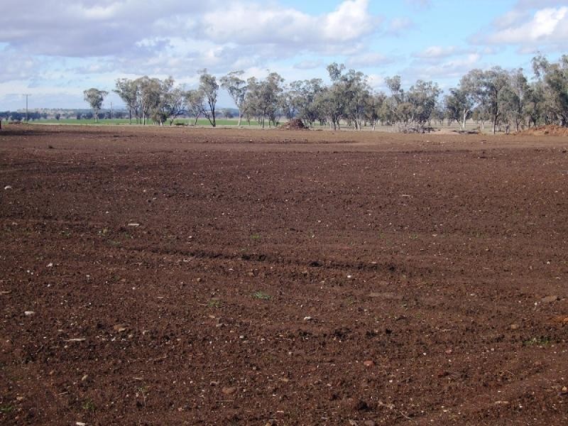 Boggabri NSW 2382