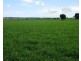 Boggabri NSW 2382