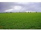 Boggabri NSW 2382