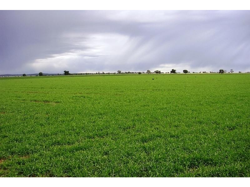 Boggabri NSW 2382