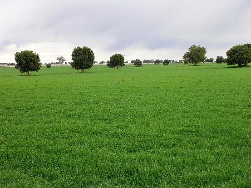 Boggabri NSW 2382