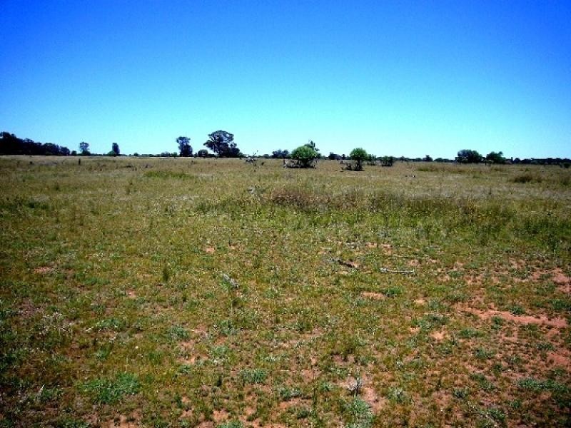 1315 Forest Way via Yarrie Lake, Narrabri NSW 2390
