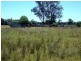 1315 Forest Way via Yarrie Lake, Narrabri NSW 2390
