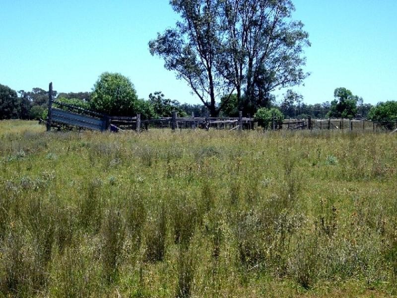 1315 Forest Way via Yarrie Lake, Narrabri NSW 2390