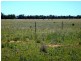 1315 Forest Way via Yarrie Lake, Narrabri NSW 2390