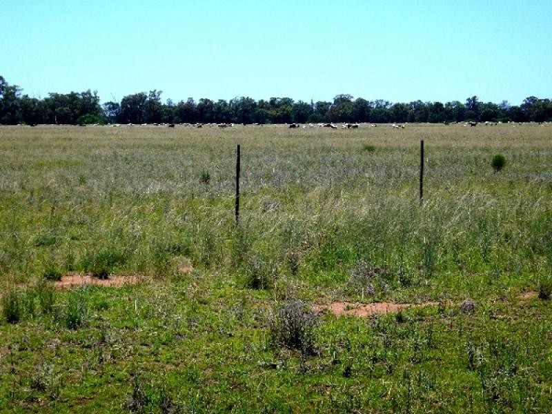 1315 Forest Way via Yarrie Lake, Narrabri NSW 2390
