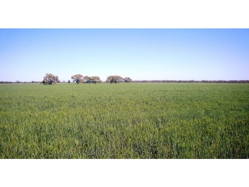 Come By Chance NSW 2832