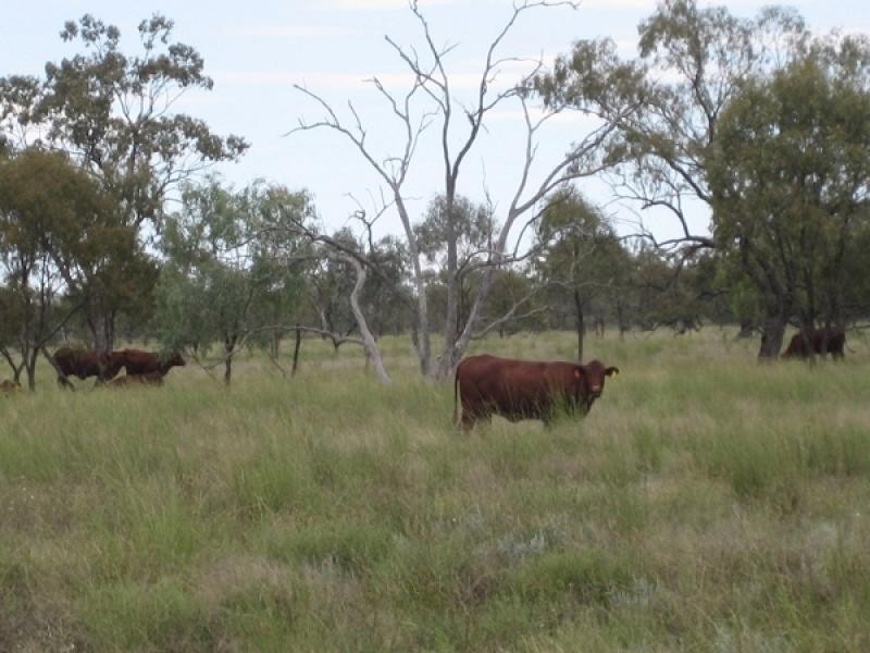 Come By Chance NSW 2832