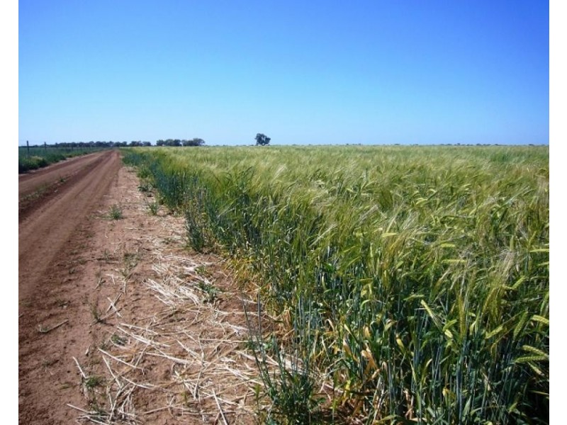 Come By Chance NSW 2832