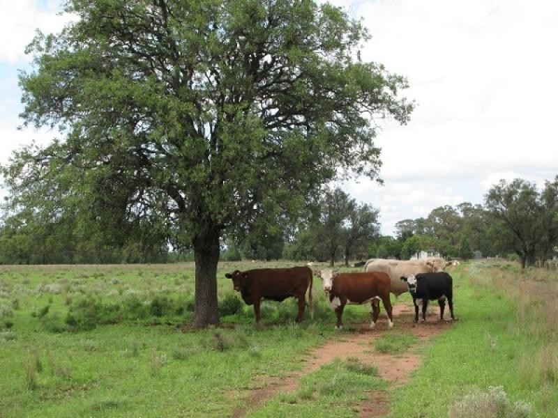 Boggabri NSW 2382
