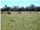 1315 Forest Way via Yarrie Lake, Narrabri NSW 2390