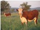 Boggabri NSW 2382