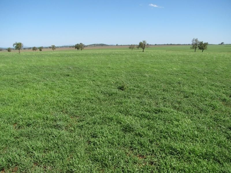 Boggabri NSW 2382