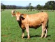 Boggabri NSW 2382