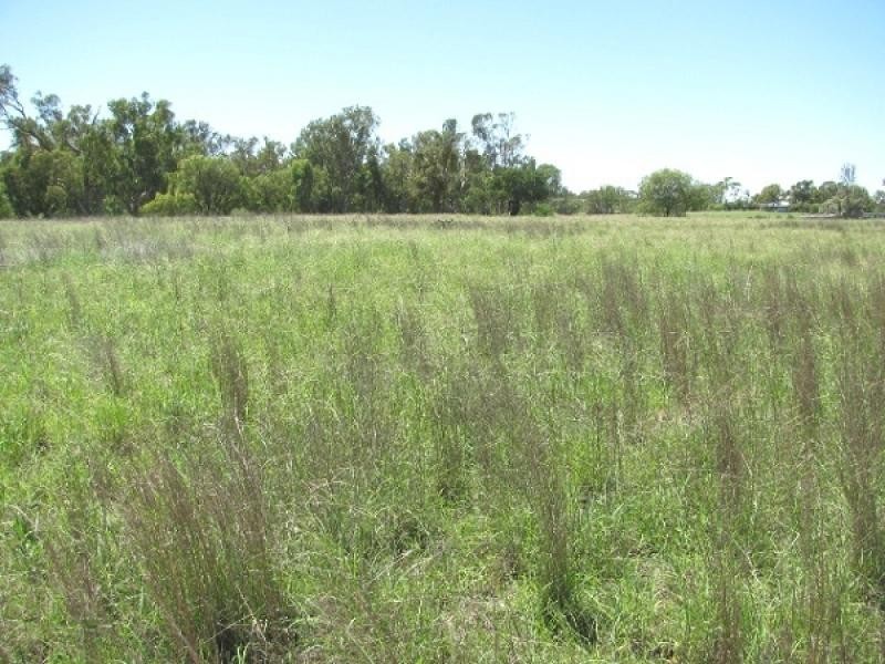 Boggabri NSW 2382