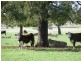 Boggabri NSW 2382