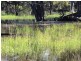 Pilliga NSW 2388