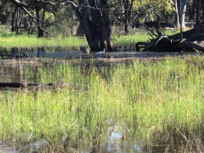 Pilliga NSW 2388