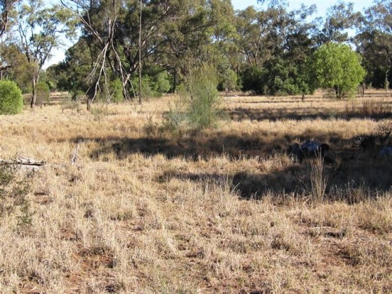 Pilliga NSW 2388