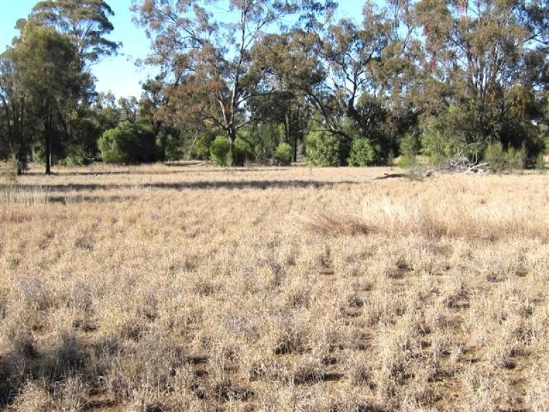 Pilliga NSW 2388