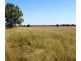 Gwabegar NSW 2356