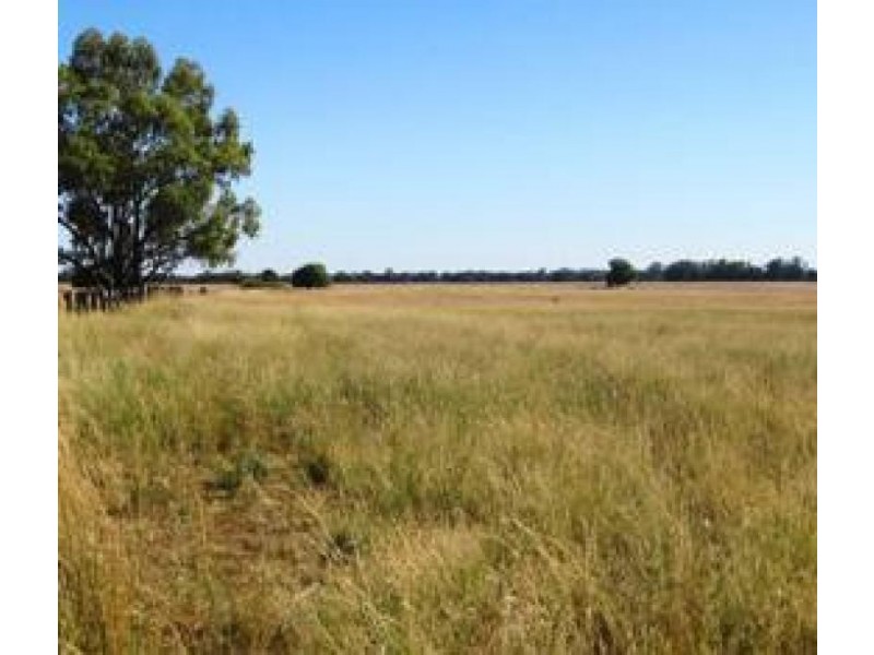 Gwabegar NSW 2356