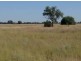 Gwabegar NSW 2356