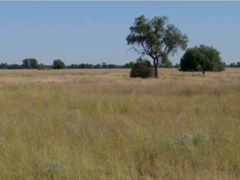 Gwabegar NSW 2356