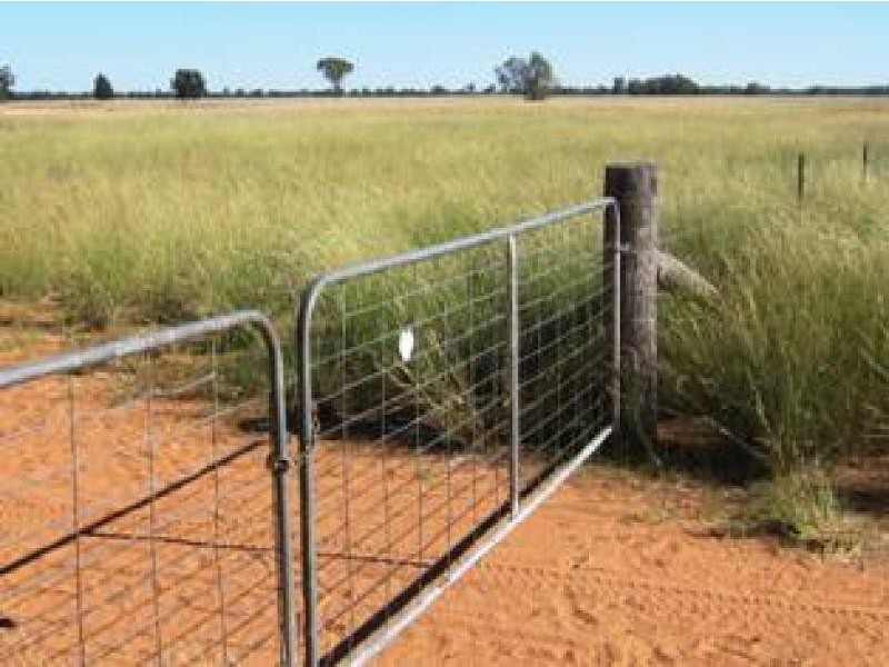 Gwabegar NSW 2356