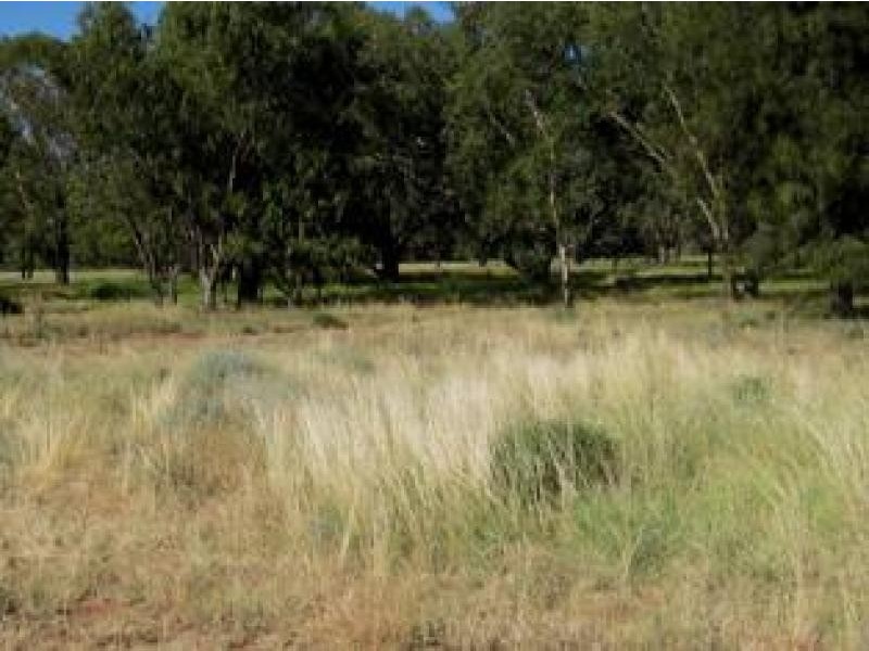 Gwabegar NSW 2356
