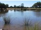 Gwabegar NSW 2356